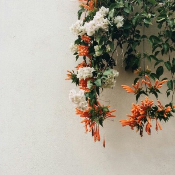 Meet your Posher, Evelyn - Picture 1 of 1